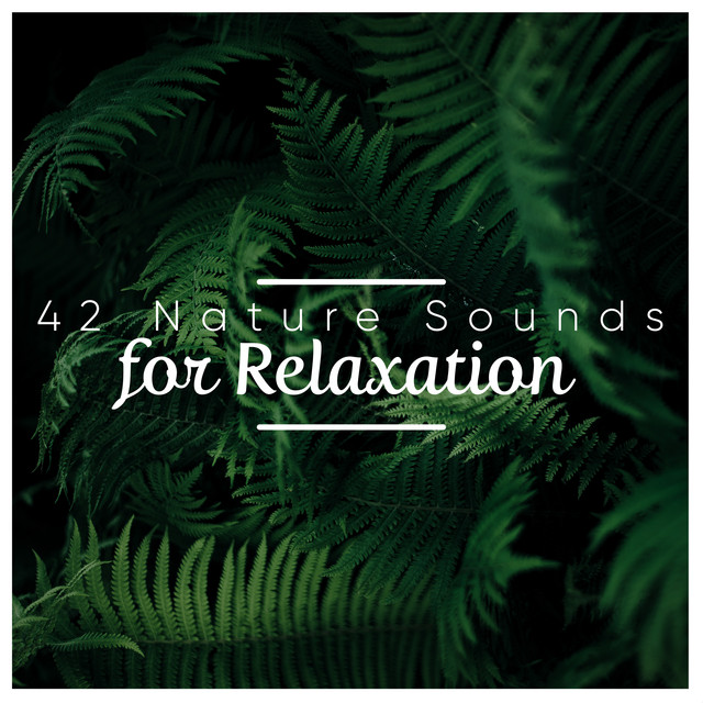 42 Nature Sounds for Relaxation - Album by Nature Sounds | Spotify