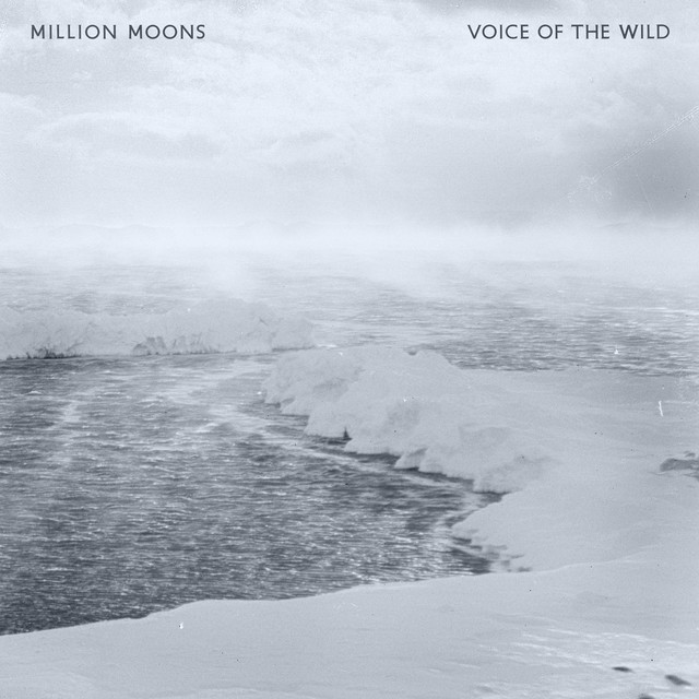 Voice of the Wild (single)