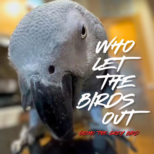 Who Let The Birds Out (Jetty Rachers Remix) cover