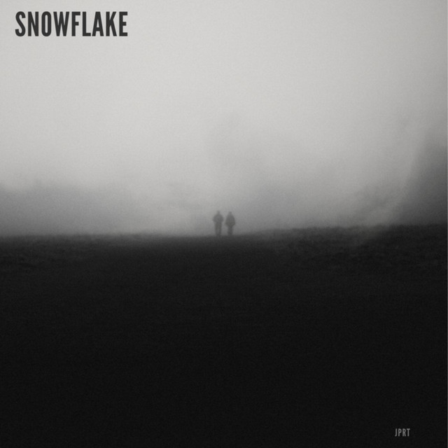 SNOWFLAKE cover art
