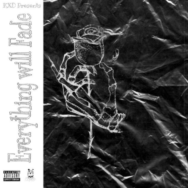 Everything Will Fade cover art