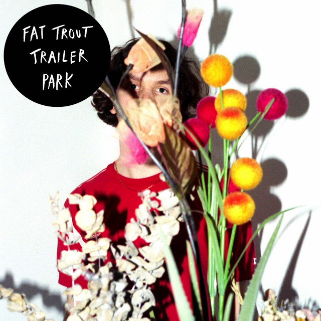 Fat Trout Trailer Park cover art