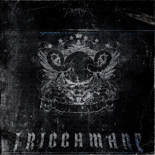 Обкладинка: TRIGGA MANE — SXNRISE