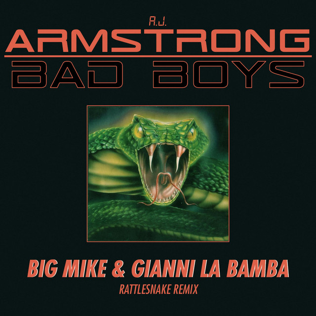 Bad Boys (A.J. Armstrong Rattlesnake Remix) cover