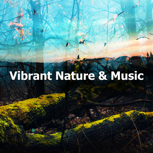 Vibrant Nature & Music - Album by Nature Sounds Nature Music | Spotify