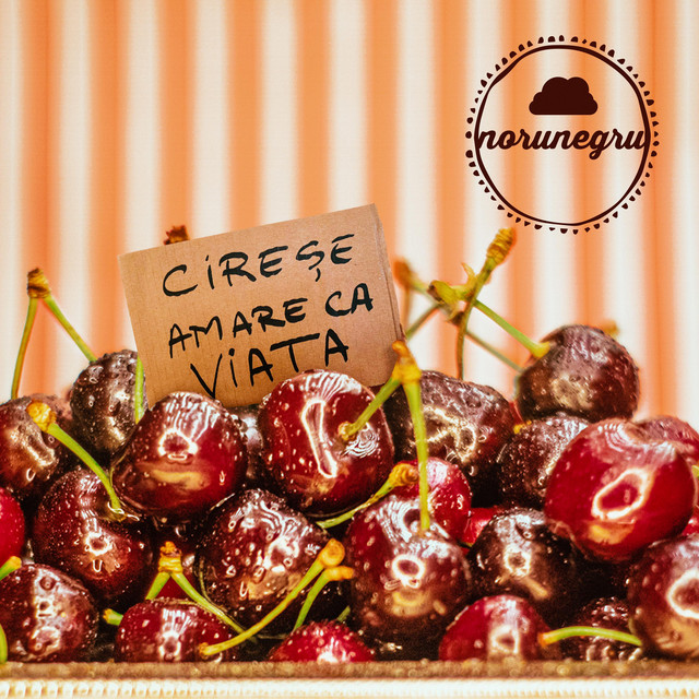 Cireșe amare ca viața cover art