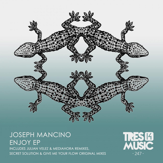 Enjoy - Julian Velez Remix album art