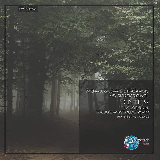 Entity - Ian Dillon Remix cover art