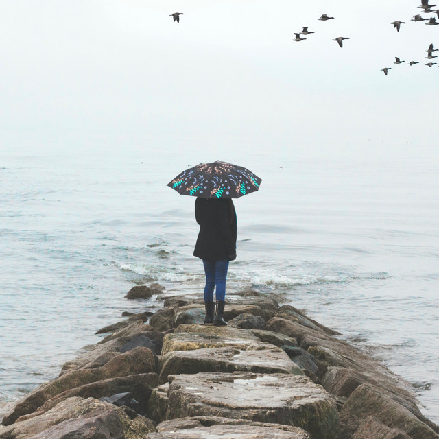 Hard Rain cover