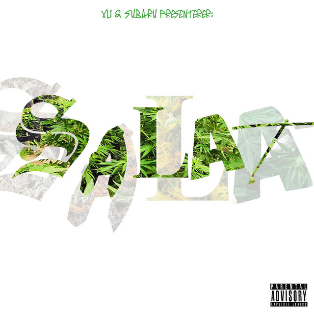 Salat cover art