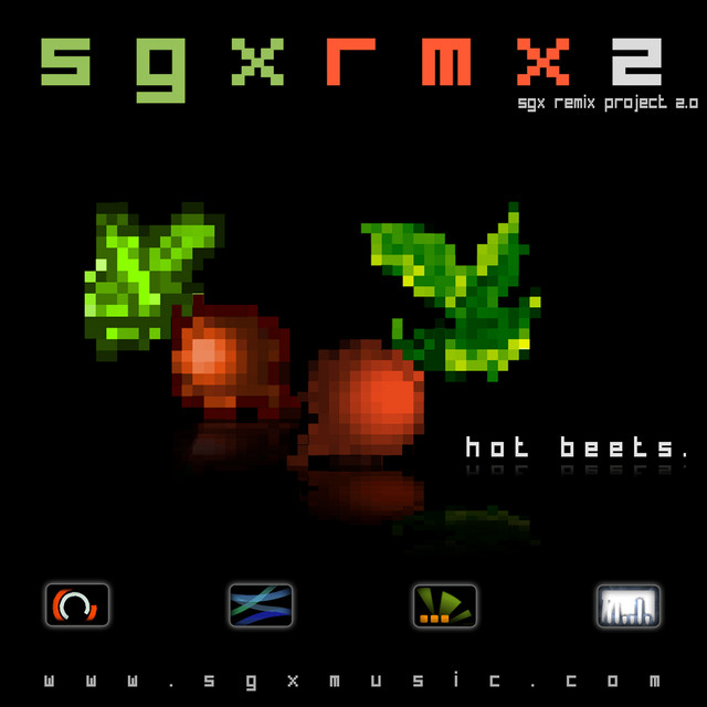 Sgxrmx2 cover art