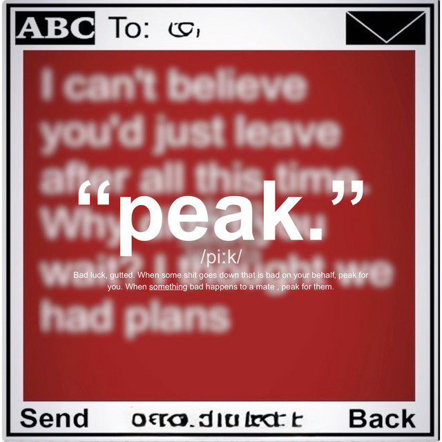 peak. cover art