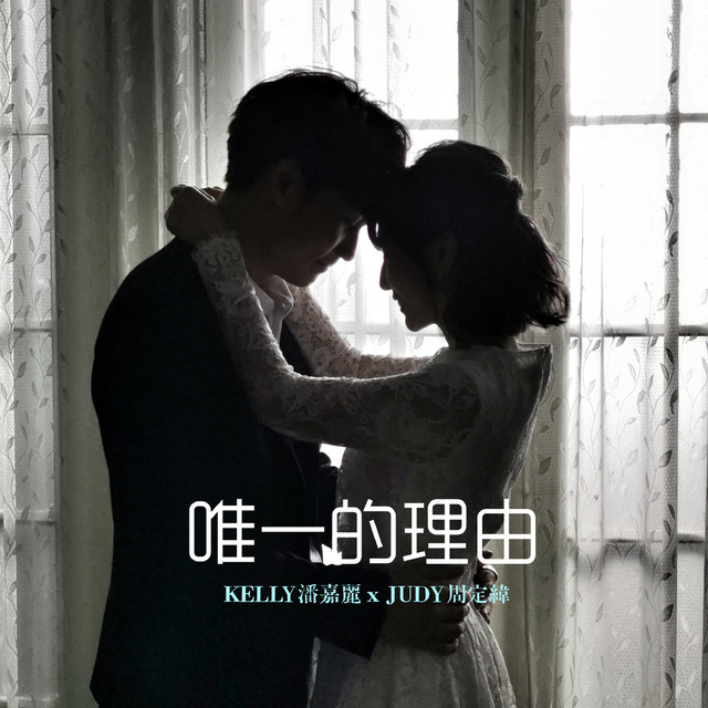 唯一的理由 cover