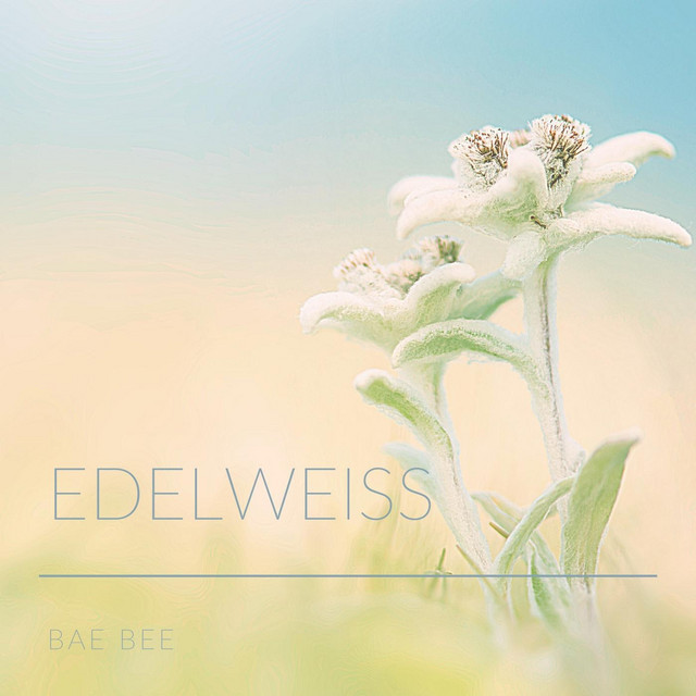 Edelweiss cover art