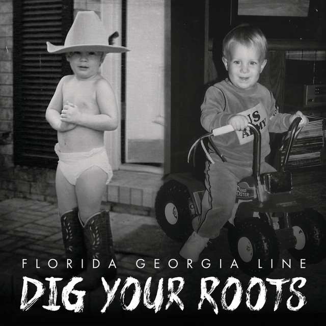 Dig Your Roots cover art