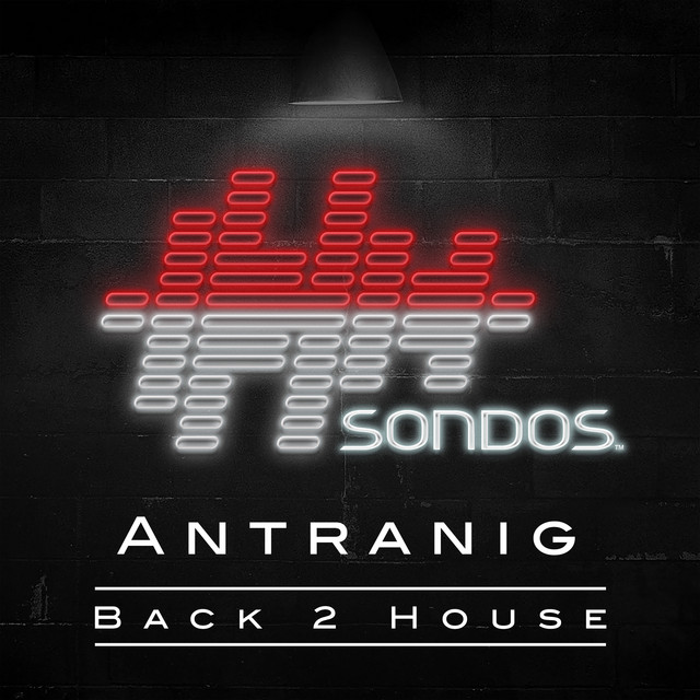 Back 2 House - Extended Mix album art