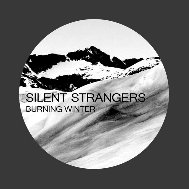 Burning Winter cover