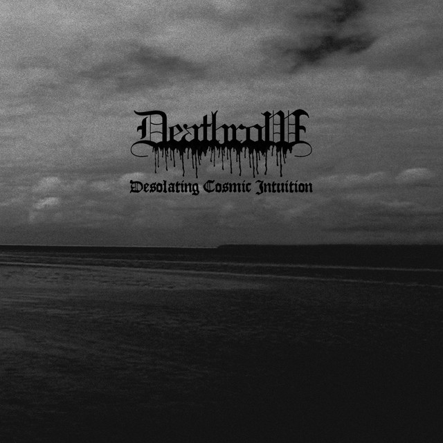 Desolating Cosmic Intuition cover art