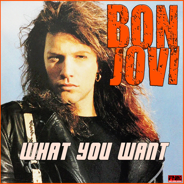 What You Want Album By Bon Jovi Spotify