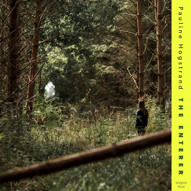 The Enterer cover art