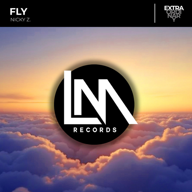 Fly