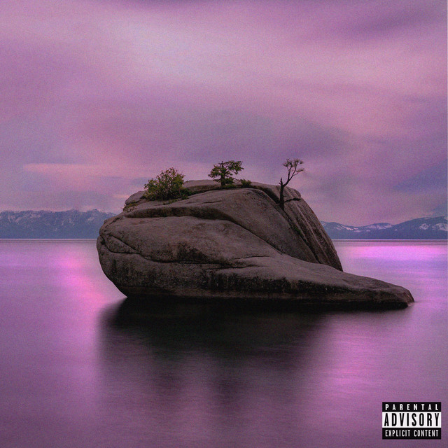 ISLAND BOY 2 cover art