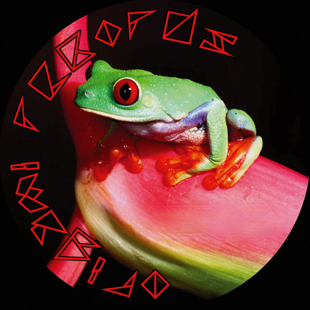 Origami 02 - Tree Frog E.P. cover art