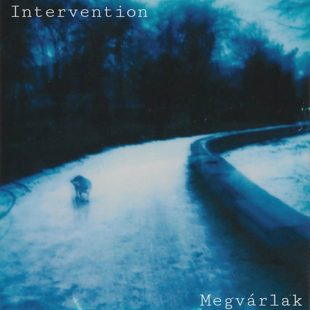 Megvárlak cover art