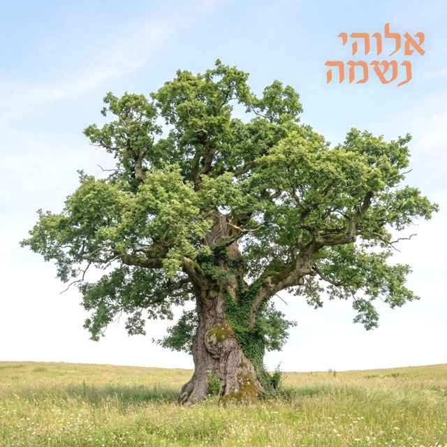 Elohai N’shamah