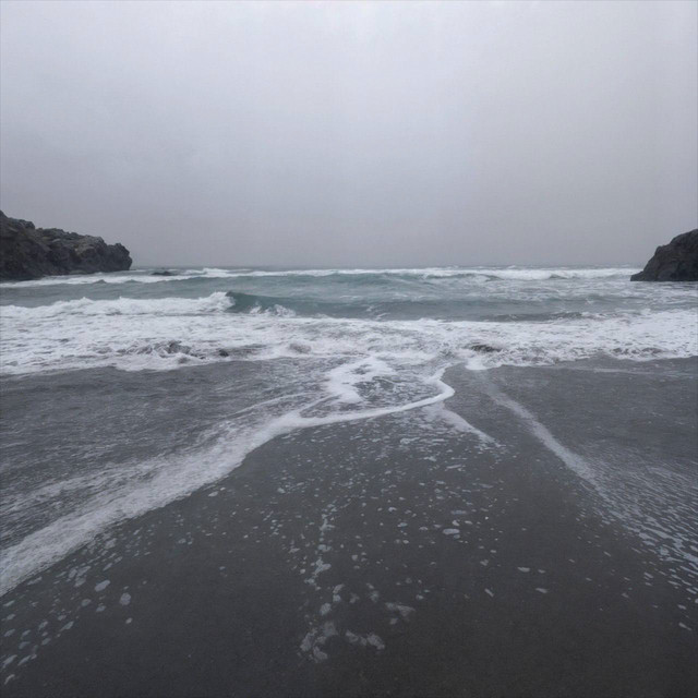 on the shore cover