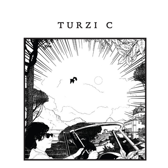 C cover art