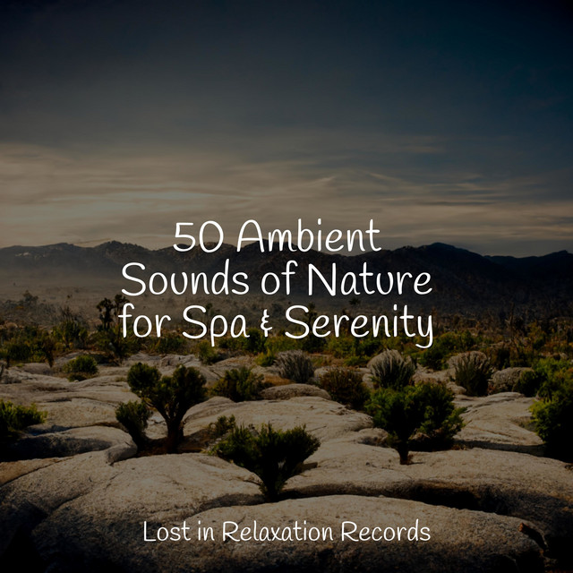 50 Ambient Sounds of Nature for Spa & Serenity - Album by Best Relaxing ...