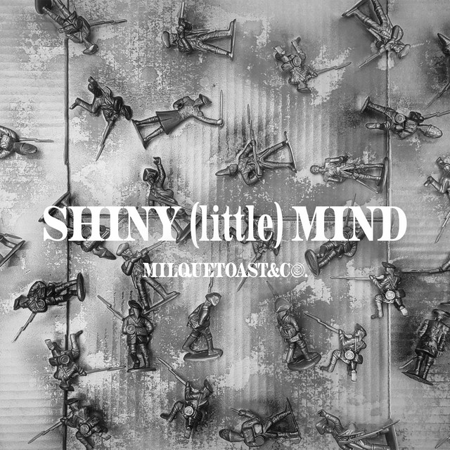 Shiny (little) Mind cover art