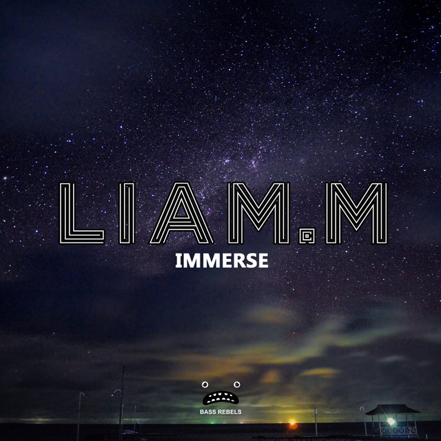 Immerse cover art