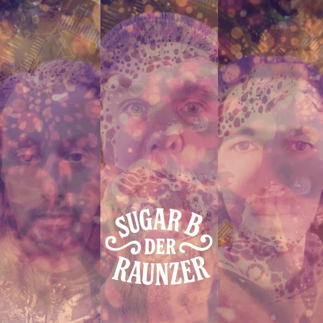Der Raunzer cover