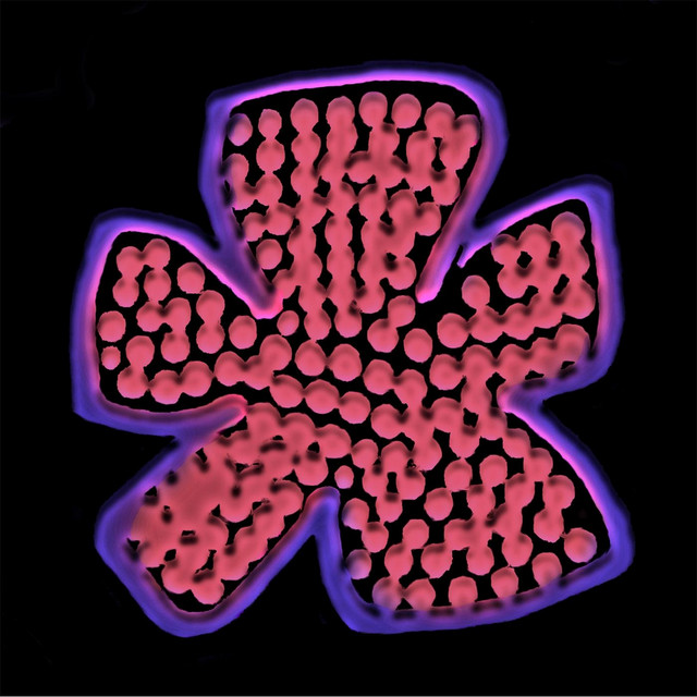 Last Flower Standing cover art