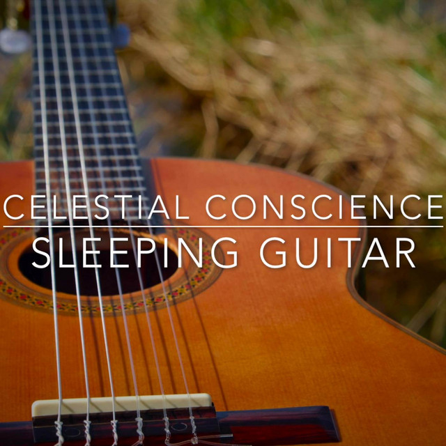 Sleeping Guitar cover art
