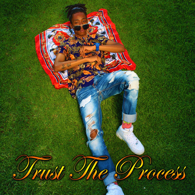 Trust The Process cover art
