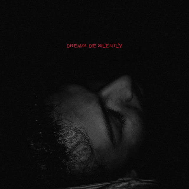 Dreams Die Silently