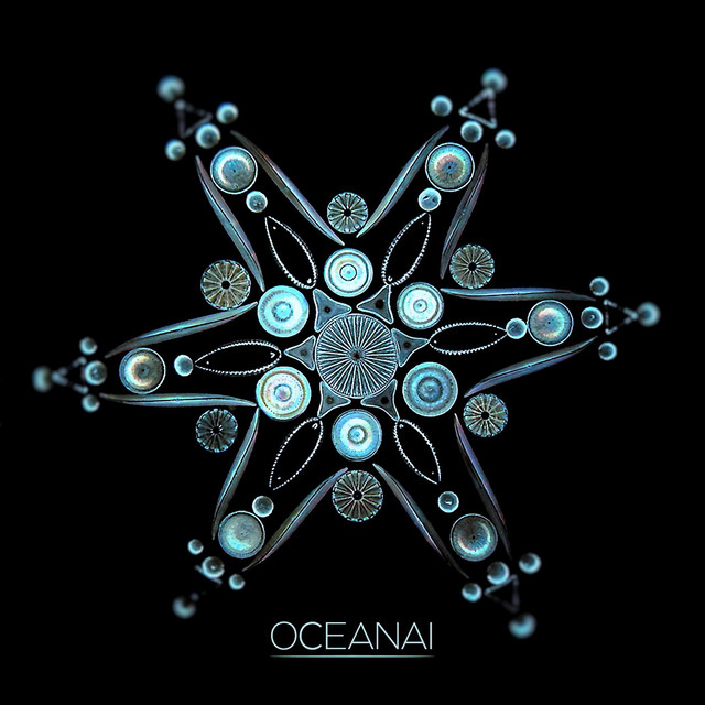 Oceanai