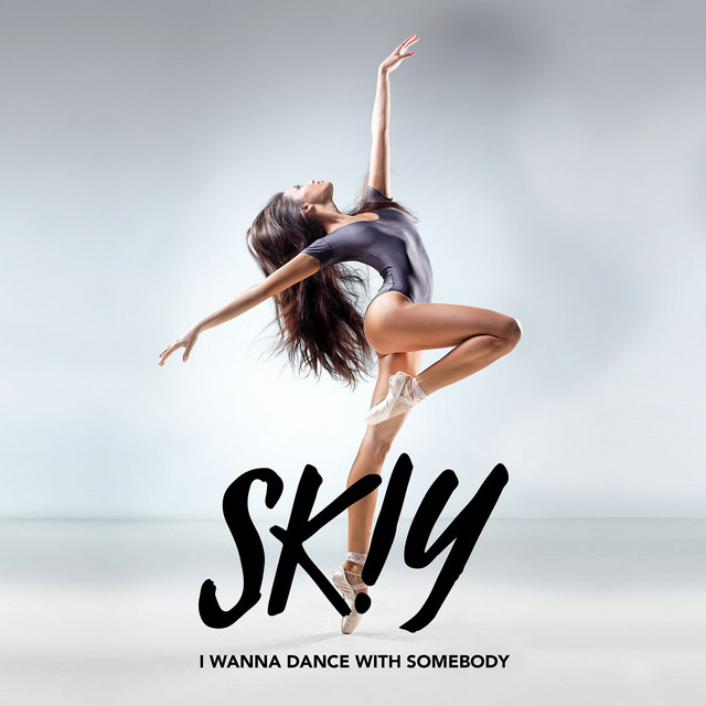 I Wanna Dance With Somebody (Who Loves Me)