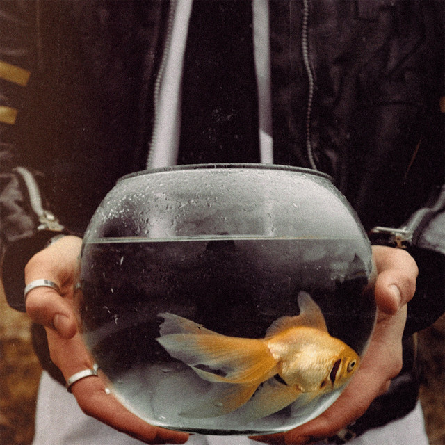 Picture of you cover art