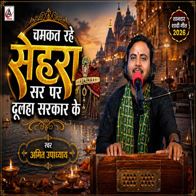 Dulha Sarkar Ke artwork