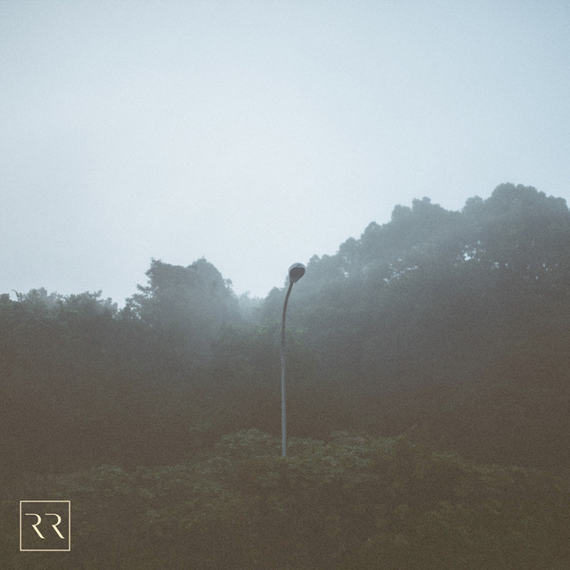 Morning Light cover