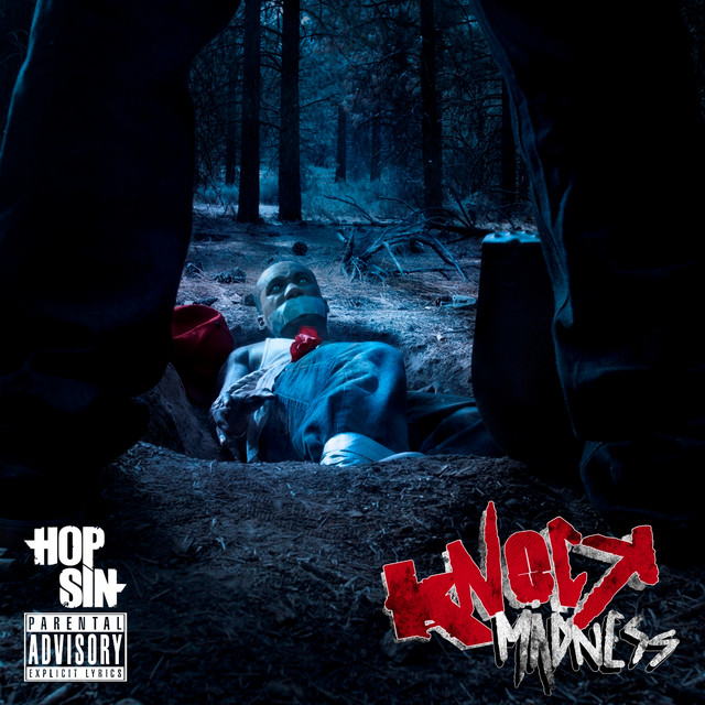 Knock Madness cover art