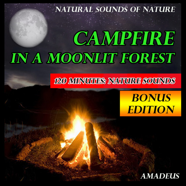 Campfire in a Moonlit Forest: Natural Sounds of Nature: Bonus Edition cover art