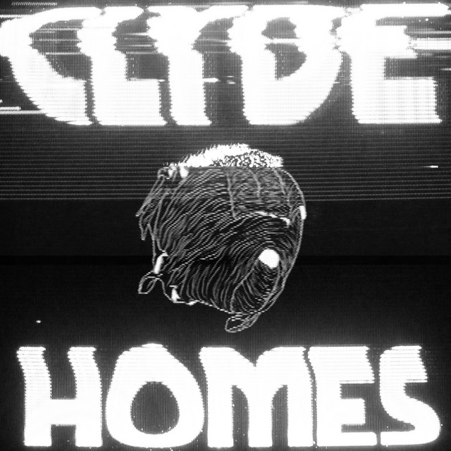 Homes cover art