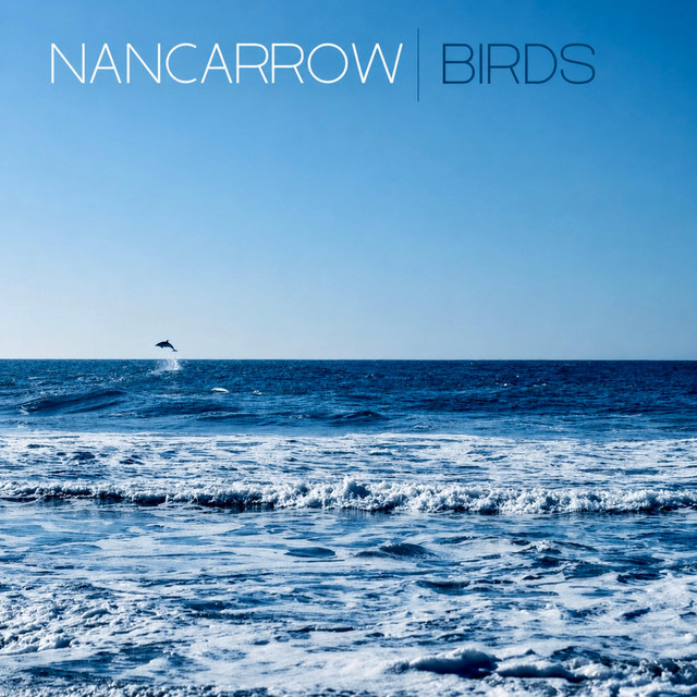 Birds cover