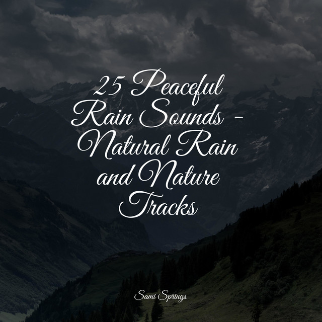 25 Peaceful Rain Sounds - Natural Rain and Nature Tracks - Album by ...