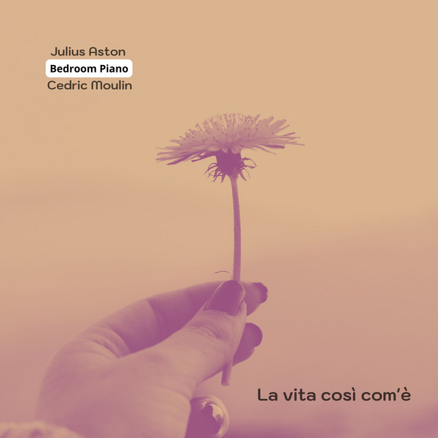 La vita così com'è cover